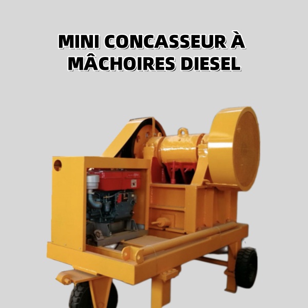 Concasseur à mâchoires diesel DM2540 de petite taille