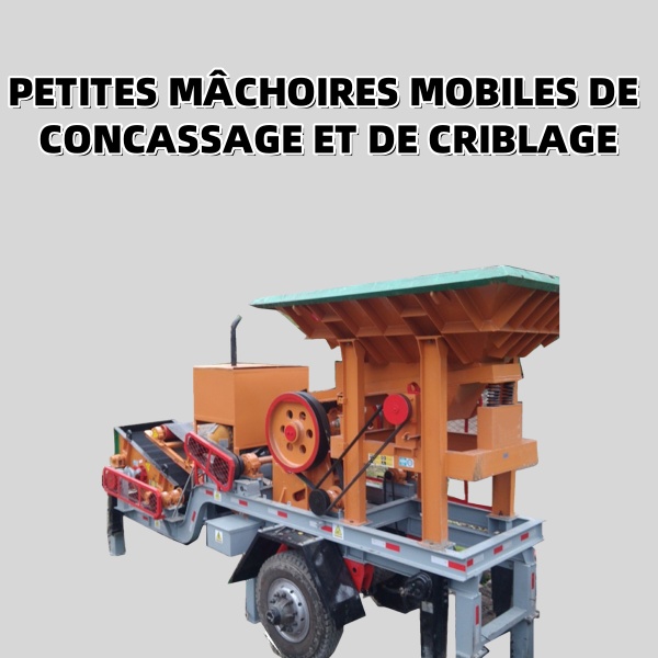 Concasseur à mâchoires mobile DSH2540