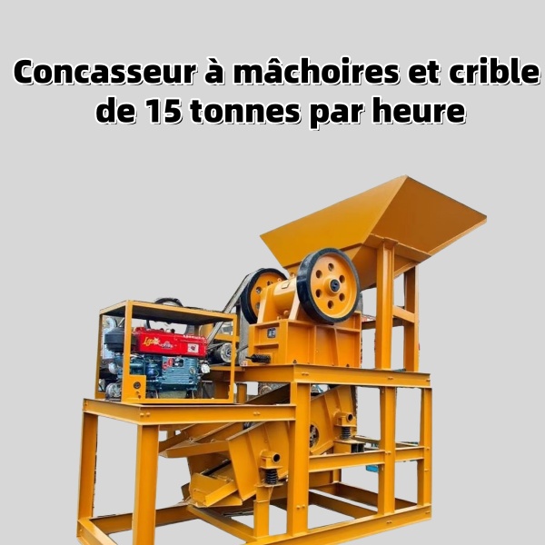 Concasseur à mâchoires à petit moteur diesel DS2540